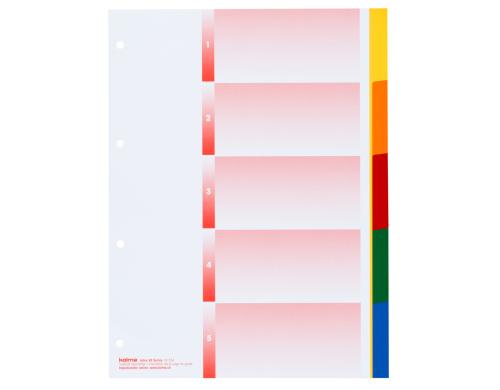 Kolma Register A4 KolmaFlex blanko 5-teilig, mehrfarbig / rainbow
