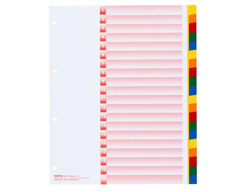 Kolma Register A4 XL KolmaFlex blanko 20-teilig, mehrfarbig / rainbow