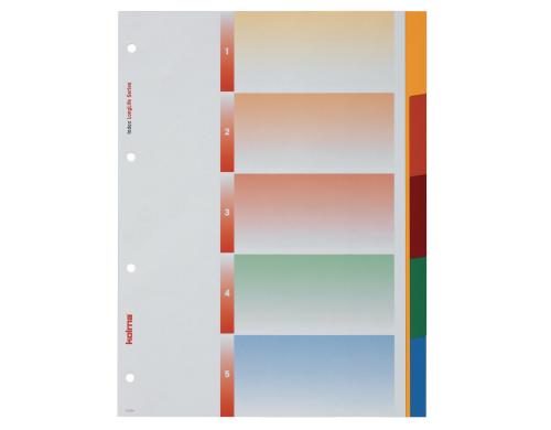 Kolma Register A4 LongLife blanko 5-teilig, mehrfarbig / rainbow