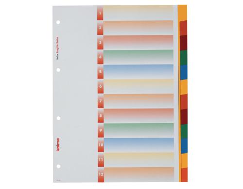 Kolma Register A4 LongLife blanko 12-teilig, mehrfarbig / rainbow