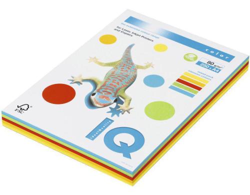 IQ farbiges Universalpapier 80g/m2 A4 Packung à 250 Blatt assortiert (10 x 25Bl.)