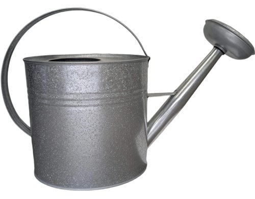Chalet Giesskanne Brass 3.5L 40x15x30cm natur