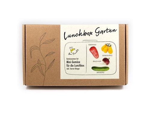 Anzucht Lunchbox Garden 4 Sorten Mini-Gemüse