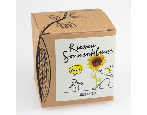 Anzucht Riesensonnenblume Set+Saatgut 4 m hohe Riesensonnenblume