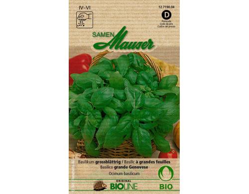 Basilikum grossblättrig Aus kontr. biol. Anbau Knospe