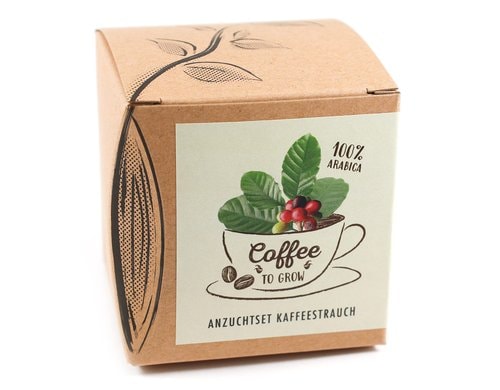 Anzucht Coffee-to-grow Set mit Kaffeesaatgut