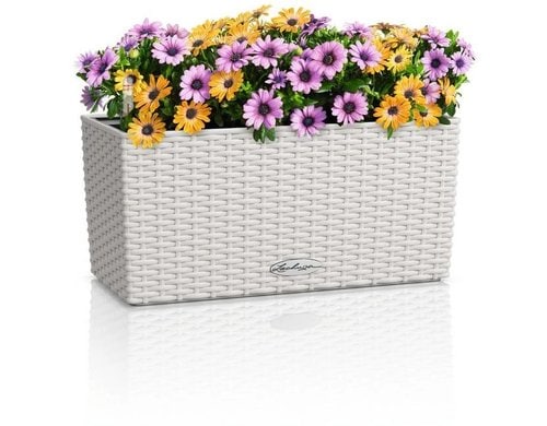 BALCONERA Cottage 40