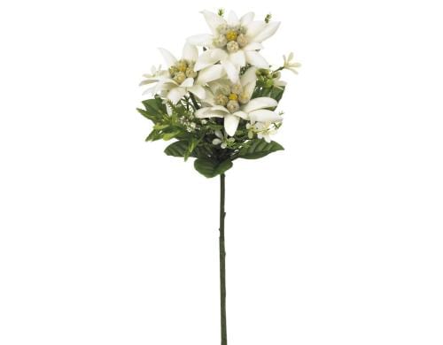 Botanic-Haus Edelweiss, 3er Set, 22 cm, Polyester