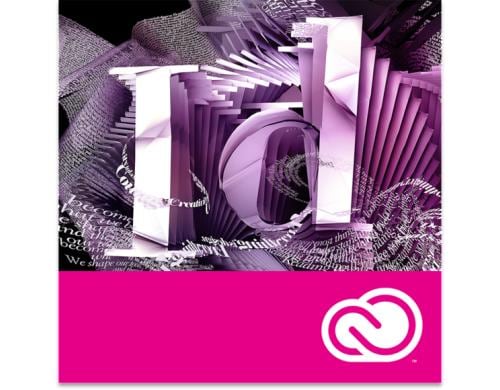 Adobe InDesign for Teams MP, 1 Jahr, Level 2/10-49, Vollversion, ML