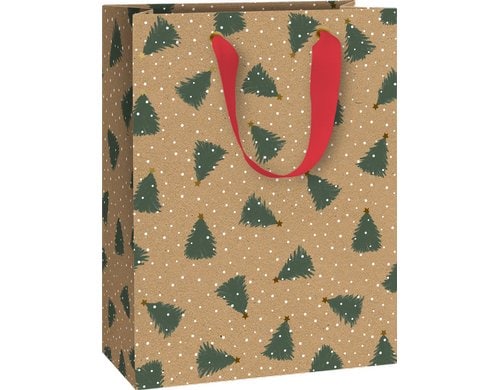 Stewo Geschenktasche Kian 23x13x30cm