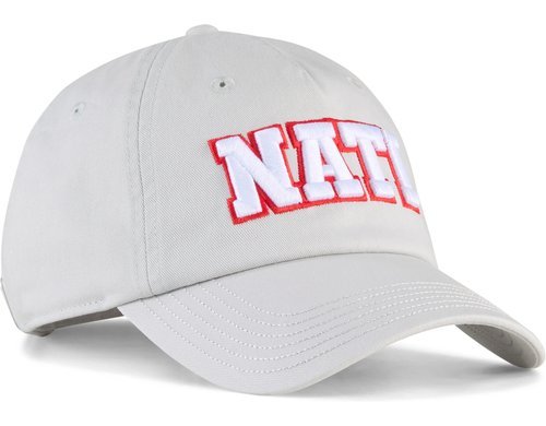 PUMA Cap SFV CULTURE Farbe: Grau