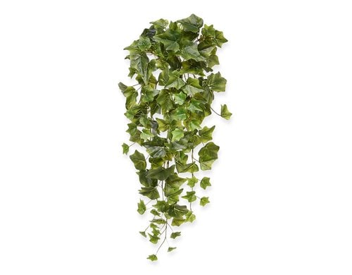 Botanic-Haus Efeu Hängepflanze 65 cm grün, H: 65 cm, D: 25cm