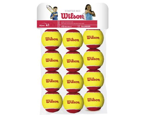 Wilson Tennis Bälle Starter 12er-Pack, red