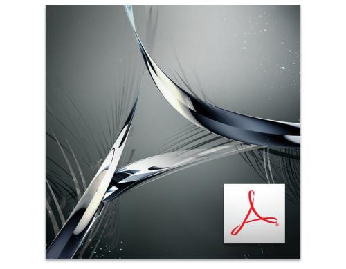 Adobe Acrobat Std DC, Lizenz WIN MP, Abo 1 Jahr, Level 1/1-9, Voll, ML