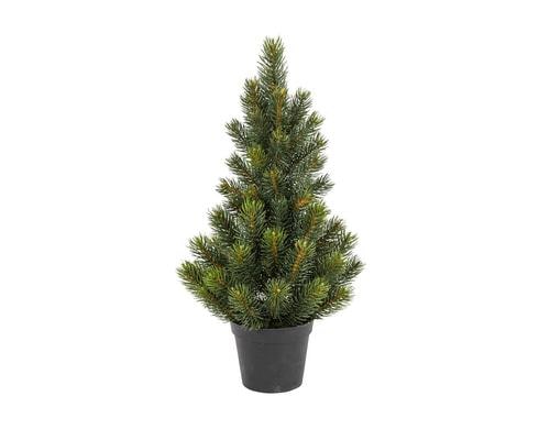 Botanic-Haus Tannenbaum im Topf H: 51 cm