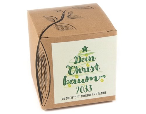 Anzucht Dein Christbaum 2033 Set mit Nordmanntanne