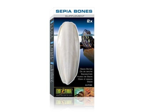Exo Terra Sepia Bones 2 Stk.