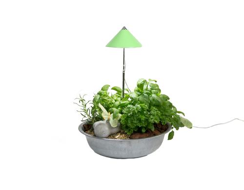 Neogard SunLite Grün, 7W 5084K, 1206 lm, IP54, Vollspektrum