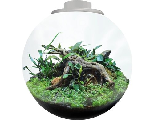 BioArt Pflanz-Terrarium Bowl 225 mit LED Weiss, 22.5x22 cm, 5V-7W,344Lm