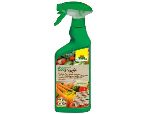 BioKraft Vitalkur für Obst u.Gemüse AF 500 ml