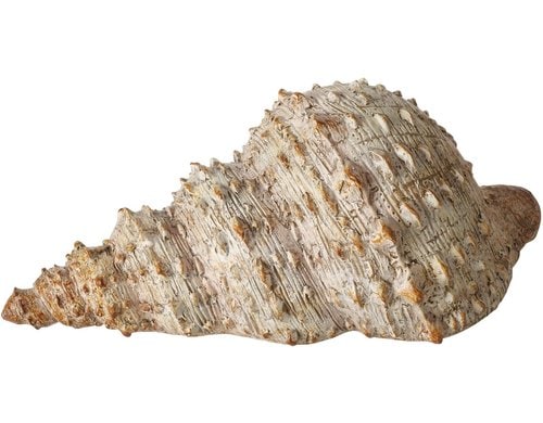 Boltze Aufsteller Muschel Bigo Kunststoff