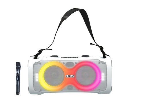 45W Wireless Speaker With Wireless Microphone
