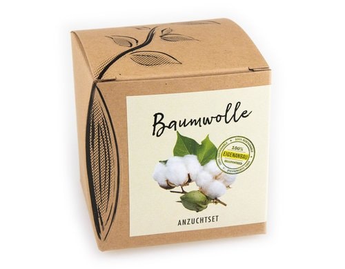 Anzucht Baumwolle Set mit Saatgut der Topfbaumwolle