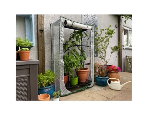 Colibri Gewächshaus Multiflex 4 71.5x34x127.5cm H