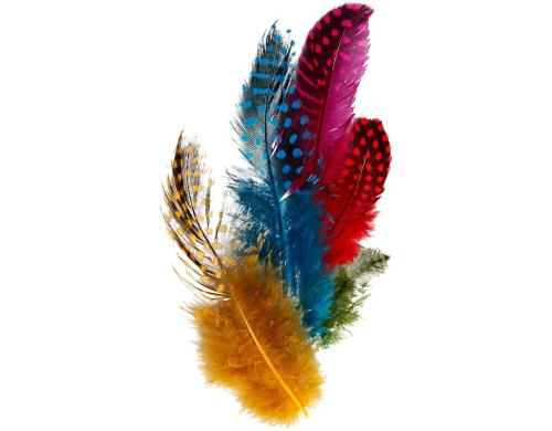 Creativ Company Perlhuhn Federn Sortiment ca. 100 Stück