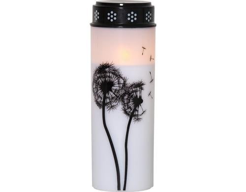 Star Trading LED Grablicht Dandelion Weiss exkl. Batterie 2xC, 21x7cm, Timer 6/18h