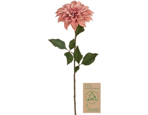Botanic-Haus Dahlie, Altrosa 66 cm lang, Stoff, Kunststoff