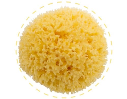 Bellini Naturschwamm Honeycomb gebleicht, No. 10