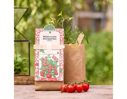 Stadtgärtner Anzuchtsset Wildtomate - BIO