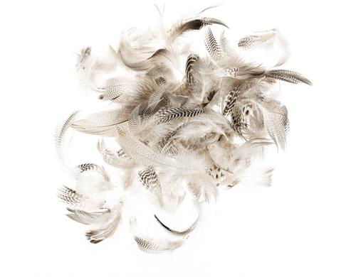 Glorex Hahnenfedern 5-12 cm, 10g