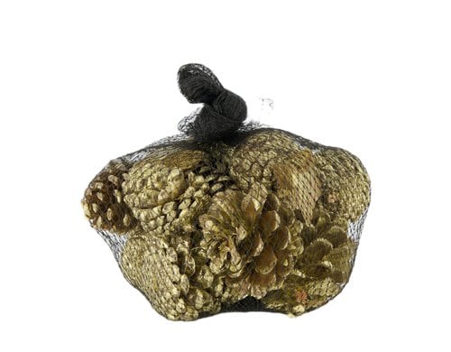 Chalet Streudeko Tannenzapfen 250gr, mit 3 Kokossterne, Gold