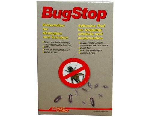 Lucky Reptile Bug Stop Heimchen Klebefalle 6 Stück