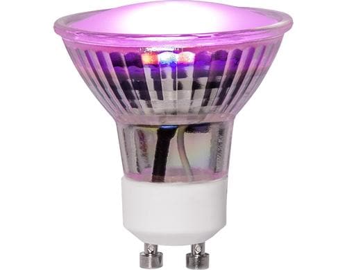 Star Trading LED Pflanzen GU10 MR16 GU10 MR16,3.5 W, 42lm, 230V