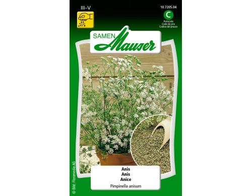 Anis Pimpinella anisum