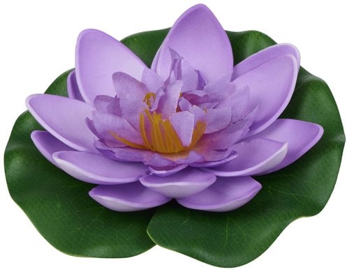 Arti Casa Lotusblume, 1 Stück, assortiert D: 10 cm, für Garten oder Teich