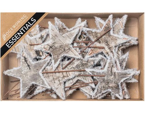 Chalet Birkensterne auf Draht ca. 30 Stück