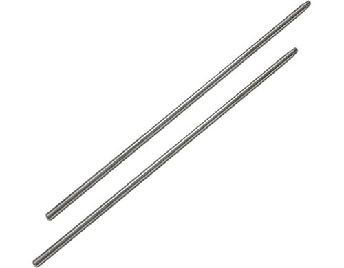 Fyta Bodenstab 25cm