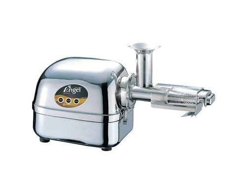Angel Edelstahl-Saftpresse 5500