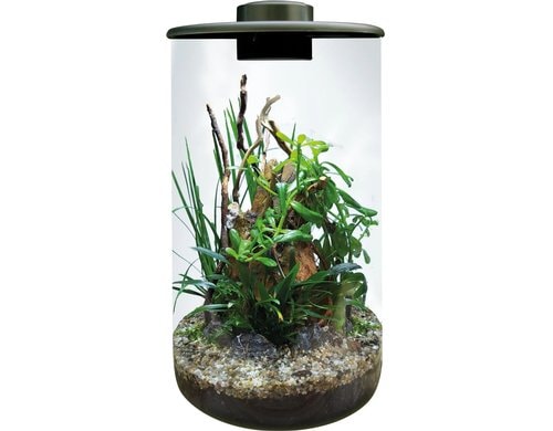 BioArt Pflanz-Terrarium Cylinder 285 mitLED Schwarz, 28.5x15 cm, 5V-7W, 344Lm