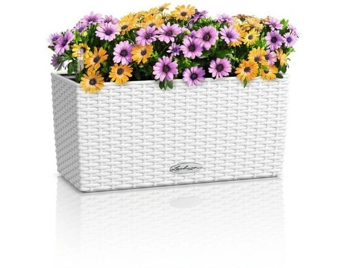 BALCONERA Cottage 40