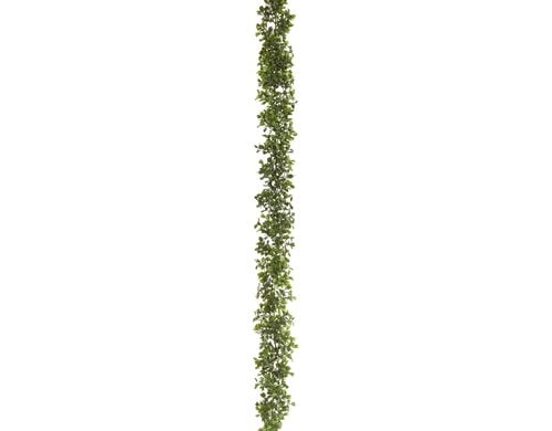 Botanic-Haus Buchsbaumgirlande 180 cm