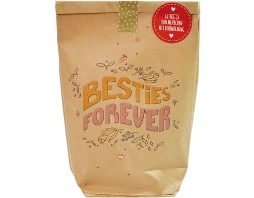 Wunderle Wundertüte Bestie 14x22 cm diverse Inhalte