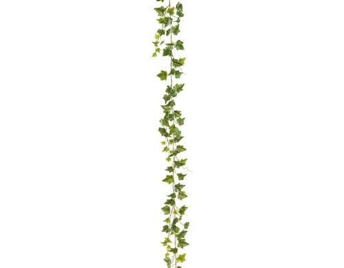 Botanic-Haus Efeugirlande 180 cm