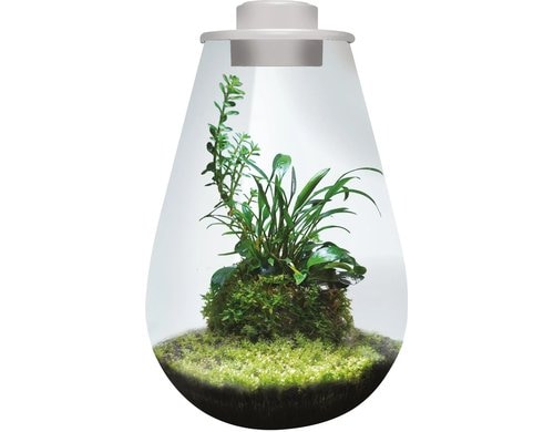 BioArt Pflanz-Terrarium Drop 285 mit LED Weiss, 28.5x20 cm, 5V-7W,344Lm