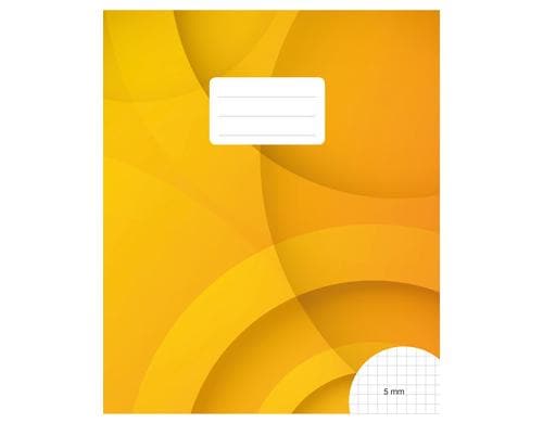 Büroline Schulheft E5 Packung à 20 Stück 5 mm kariert, ohne  Rand, 90 g