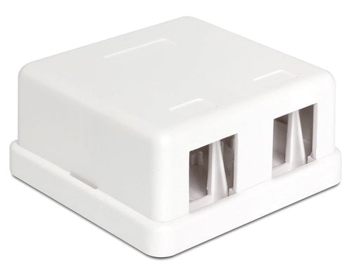 Delock Keystone Leergehäuse 2 Port Kunststoff, weiss